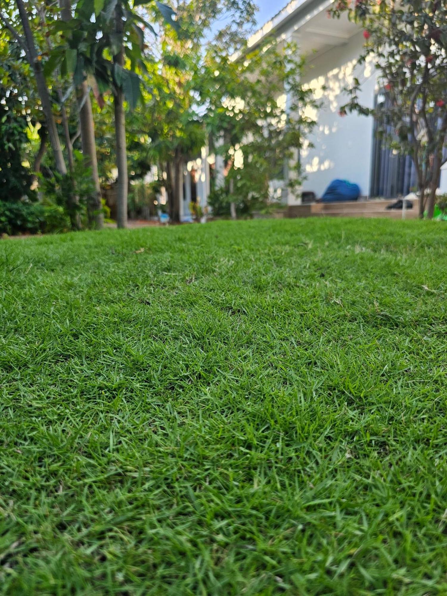 מואי נה Cay Phuong Guesthouse מראה חיצוני תמונה
