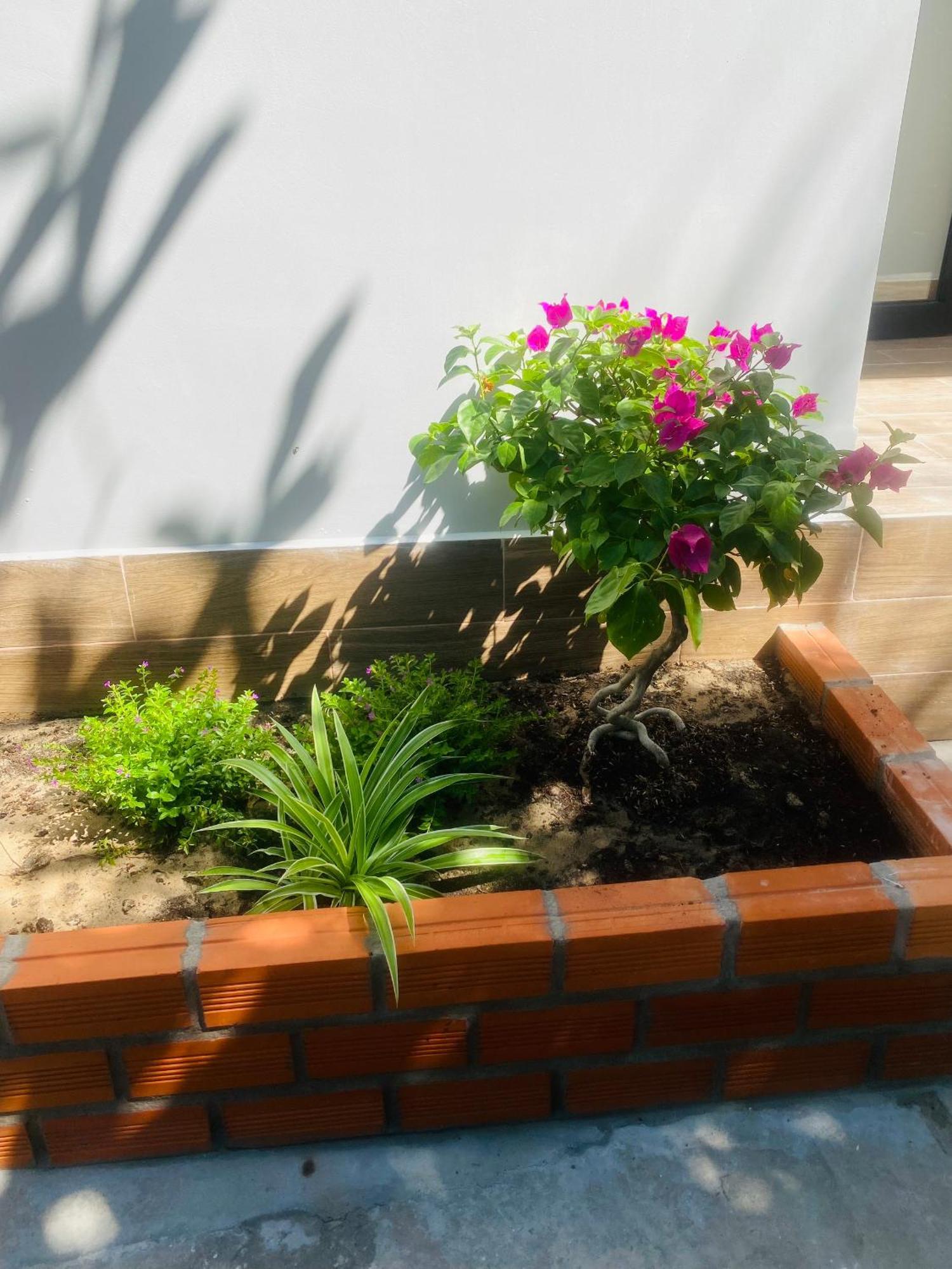 מואי נה Cay Phuong Guesthouse מראה חיצוני תמונה