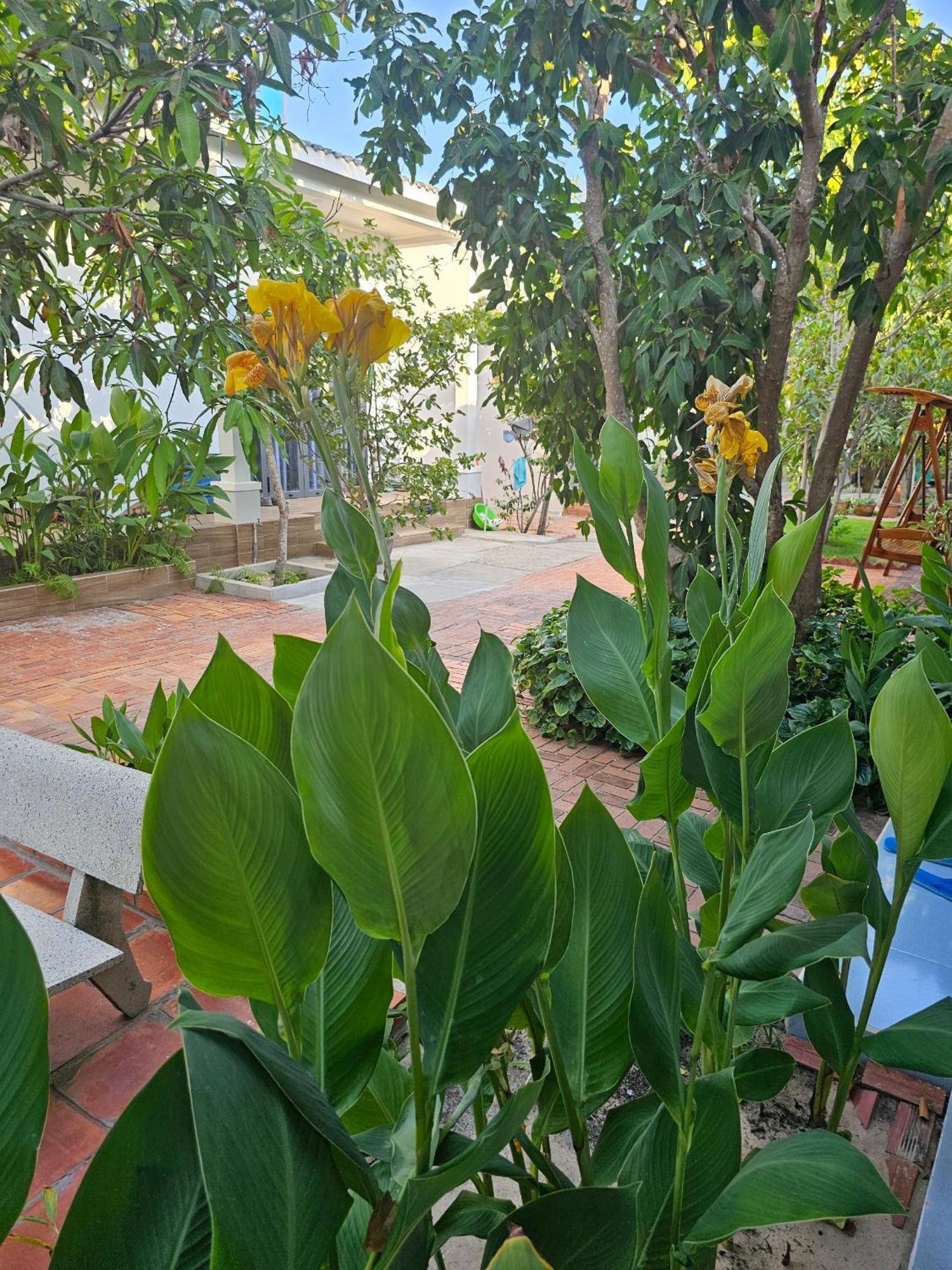 מואי נה Cay Phuong Guesthouse מראה חיצוני תמונה